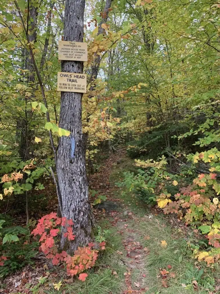Moxie Falls hike The forks area